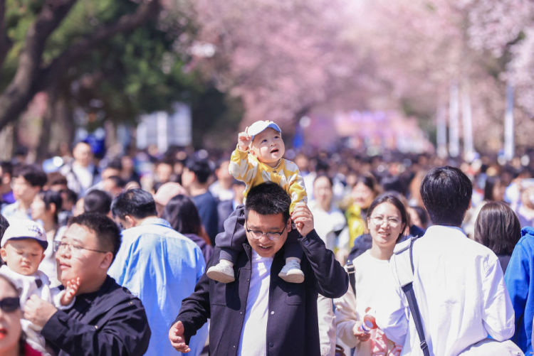 次第花开撬动吉林“赏花经济”
