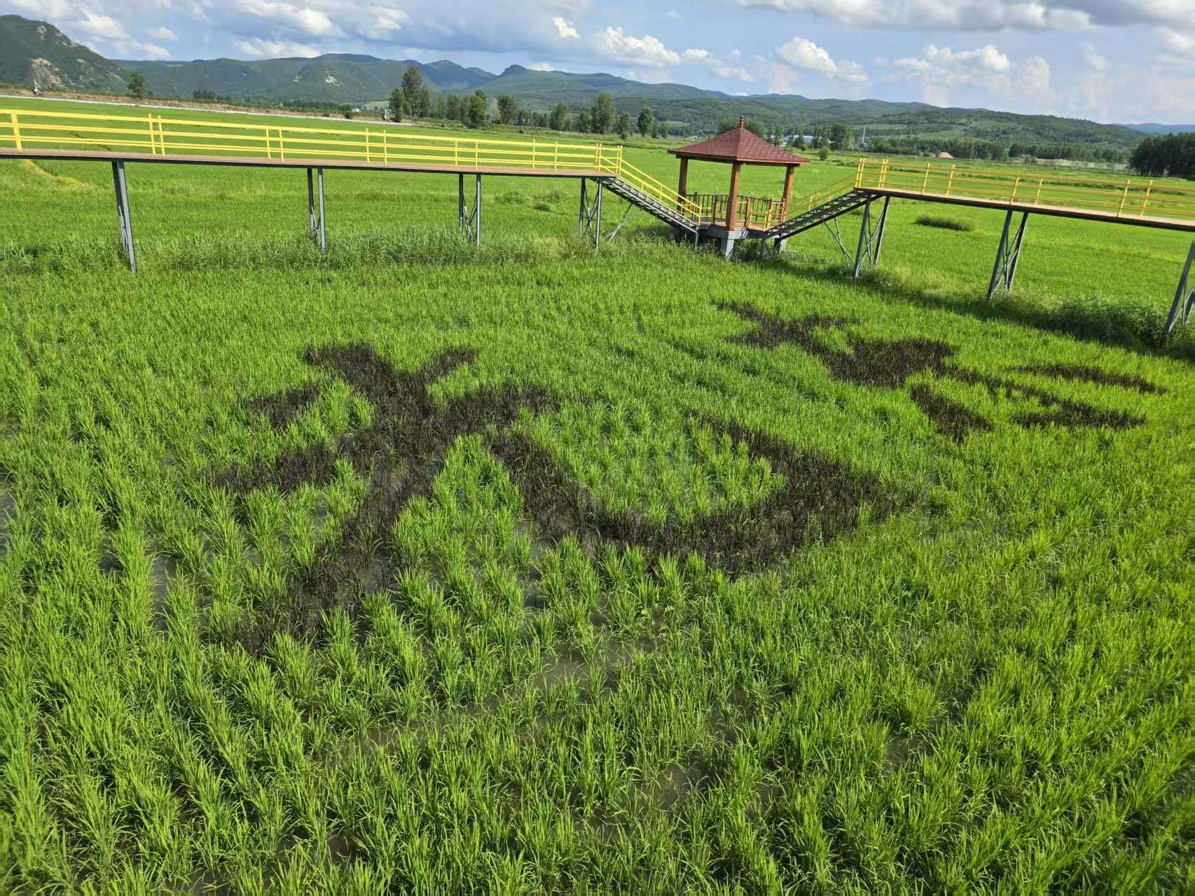 以实干谱写奋进新华章——写在习近平总书记视察延边十周年之际（中）