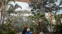 倒计时！长春万达茂开业进入冲刺阶段