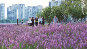 长春：打卡花海 感受城市生态之美