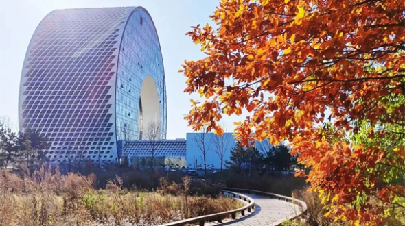 长春汽开区的秋 是硬核的 也是温柔的