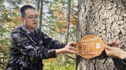 第四届吉林省“最美退役军人”孙风君：永葆军人初心使命 守护林海绿水青山