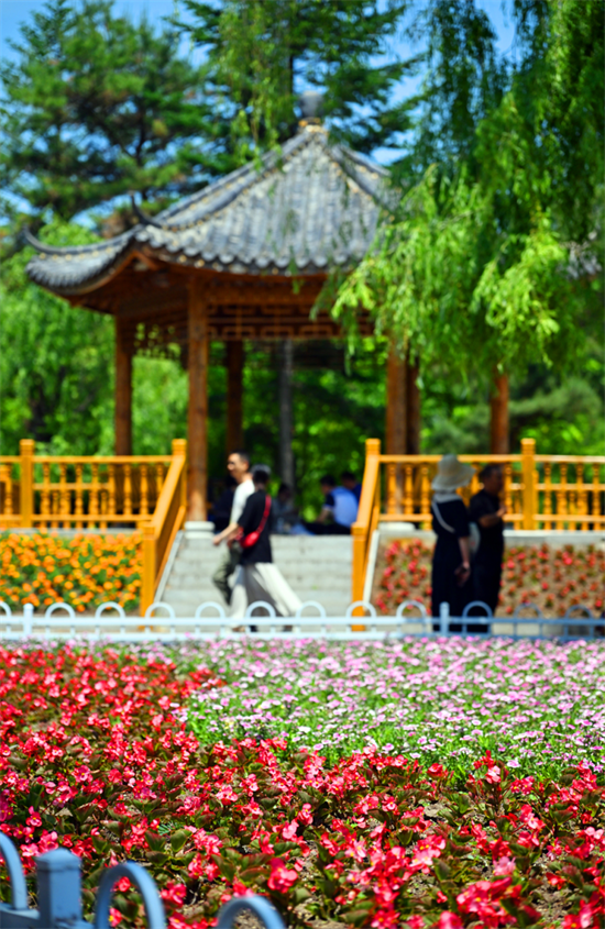 延吉公园花开成海绚烂迎夏_fororder_图片4