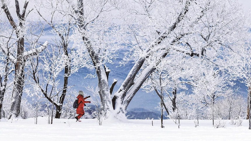通化市辉南县迎来大面积雾凇景观