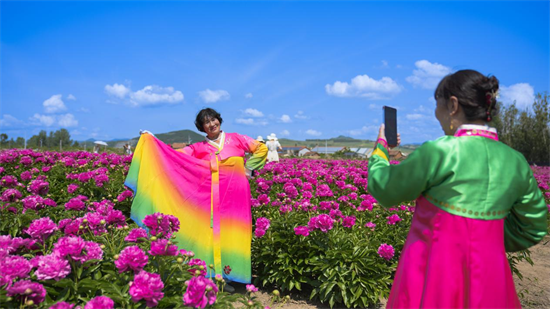 延吉牡丹芍药竞相绽放 花开如海美丽画卷铺展开来_fororder_图片2