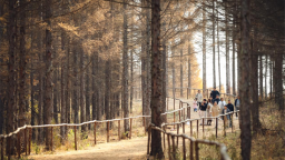 有一种生活叫延吉 在秋日的光影里遇见美好