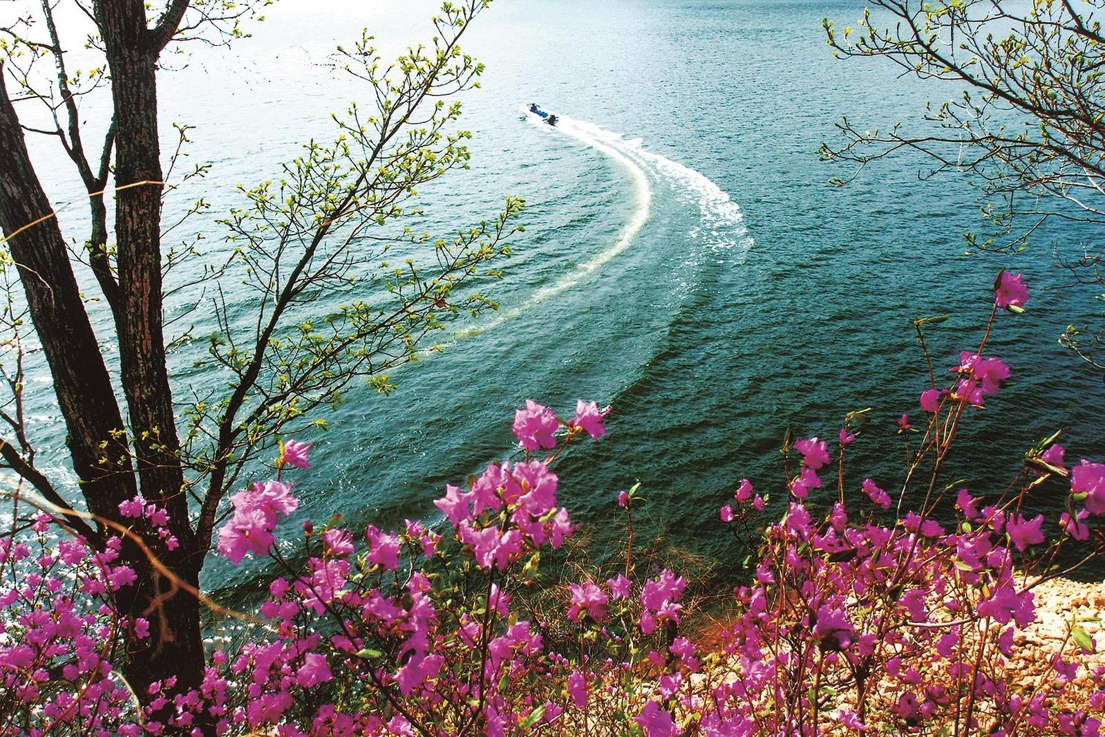 绿野寻芳 春游白山
