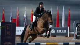 2026年吉林省马术场地障碍公开赛首站在长春净月高新区开幕