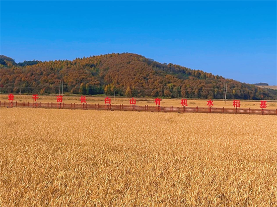 吉林安图万宝镇锚定“三个聚焦” 绘就乡村振兴新图景_fororder_吉林万宝镇1