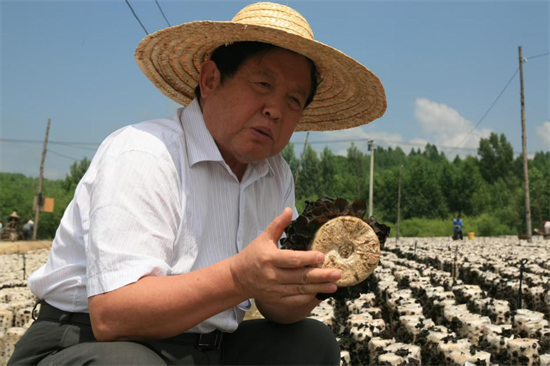 凭借一张“蘑菇纸”录取通知书 吉林农业大学科技创新出圈儿_fororder_杨薇蘑菇图3