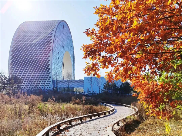 长春汽开区的秋 是硬核的 也是温柔的_fororder_吉林汽开区1