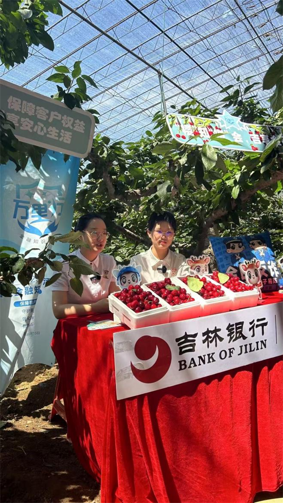 吉林银行大连分行创新“直播+”模式 助力果农拓宽樱桃销路_fororder_图片1