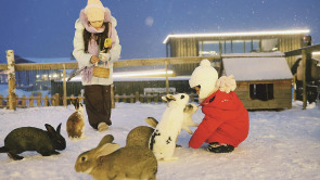 冬日萌宠乐园成新晋打卡地