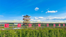 十年稻香路：返乡创业青年金君牢记“粮食也要打出品牌”嘱托 挺起大国农人担当