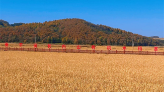 吉林安图万宝镇锚定“三个聚焦” 绘就乡村振兴新图景