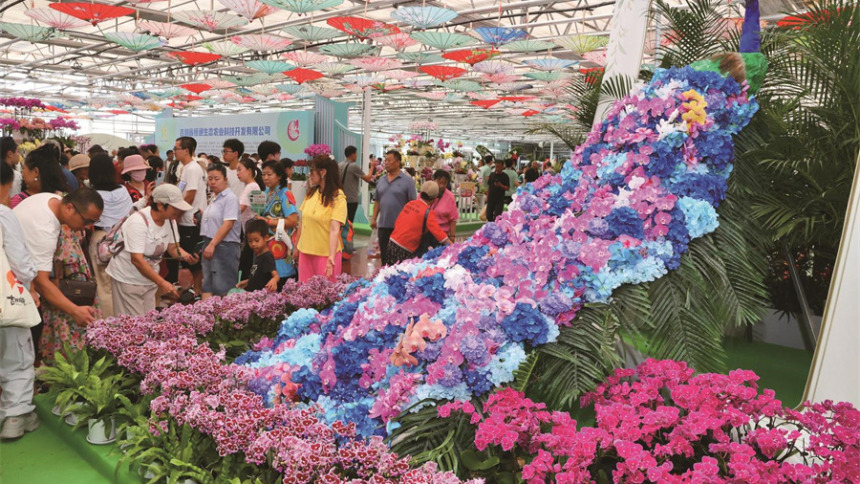 长春：别致花卉景观引游客围观