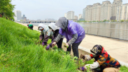 城市颜值再升级 延吉布河景观提升工程加速推进