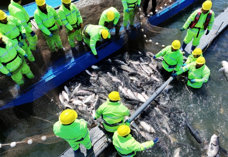 2025松花湖开江鱼美食季拉开帷幕