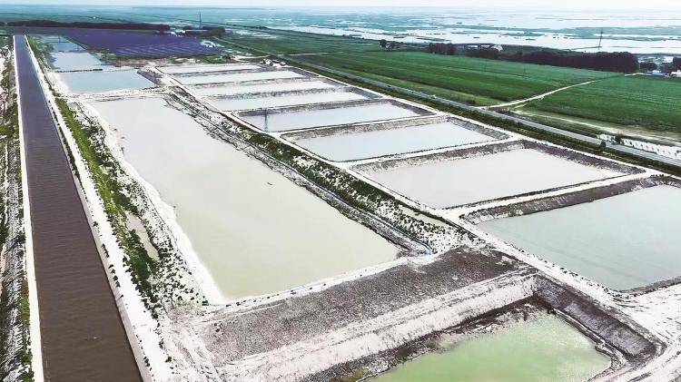 激活“一池春水”——大安市全产业链打造东北渔业新高地