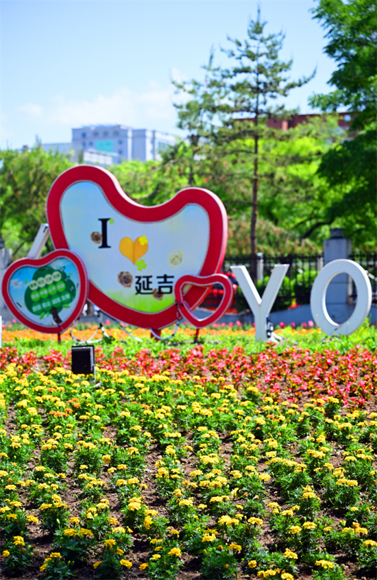 延吉公园花开成海绚烂迎夏_fororder_图片2
