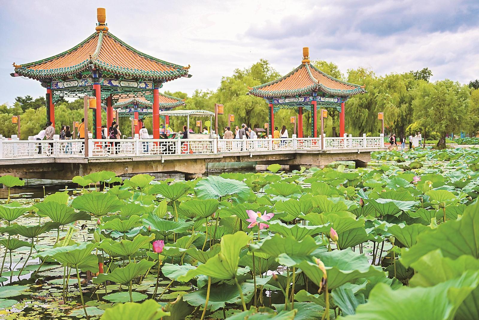 城市“绿肺” 价值几何
