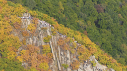 吉林市朱雀山层林尽染