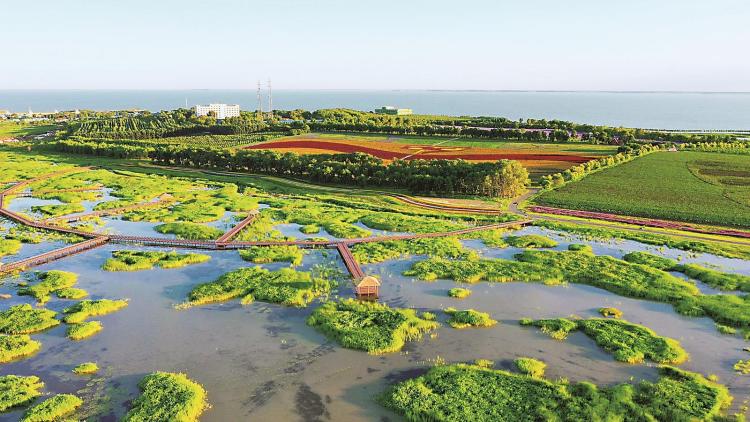 “生态+”：大美吉林 共生共赢