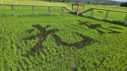 以实干谱写奋进新华章——写在习近平总书记视察延边十周年之际（中）