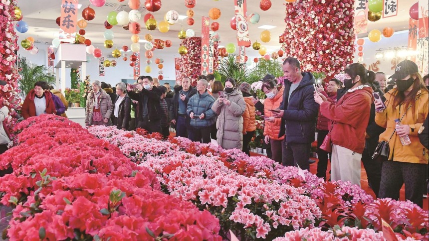 吉林市永吉县“新春花房”扮靓新春