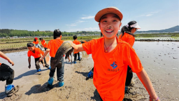 延吉小学生稻田里的实践课