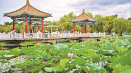 城市“绿肺” 价值几何