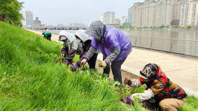 城市颜值再升级 延吉布河景观提升工程加速推进