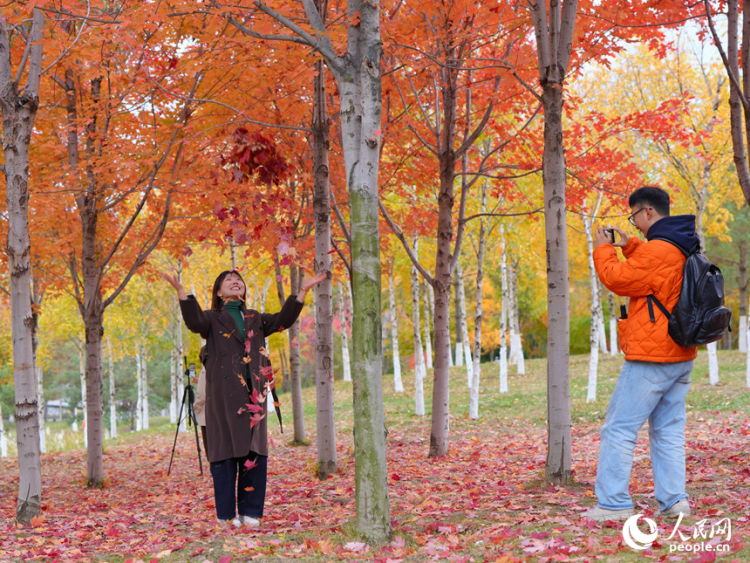 吉林长春：醉美“枫”景上线_fororder_人民网转载图4