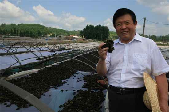 凭借一张“蘑菇纸”录取通知书 吉林农业大学科技创新出圈儿_fororder_杨薇蘑菇图4