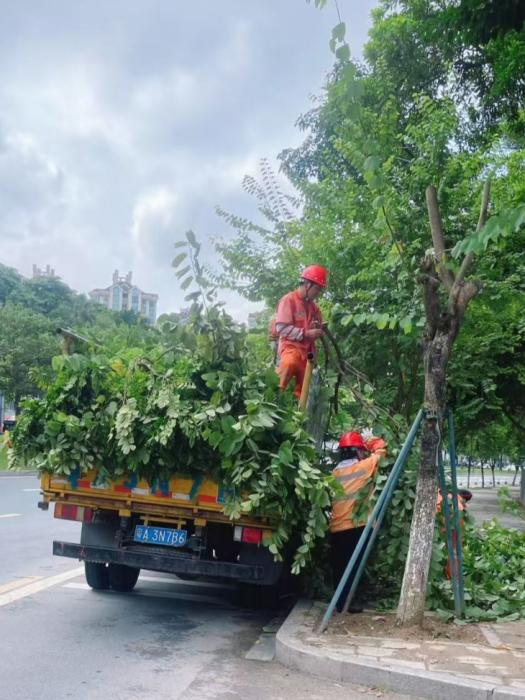 台风“桦加沙”过境，广州城管全力保障城市环境安全有序_fororder_图片5