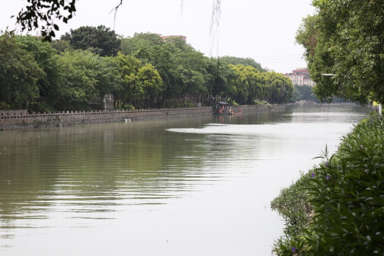 广州：河涌重回“水清岸绿” 龙舟赛成治水“试金石”_fororder_12