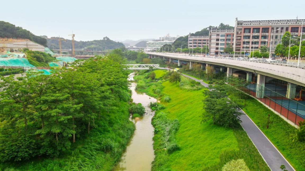 “河长制+碧道碧带+幸福河湖” 广州推进水环境提档升级_fororder_1