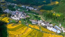 全国文明村！黑山村深化“五大行动”打造宜居宜业和美乡村｜创建助力“百千万”
