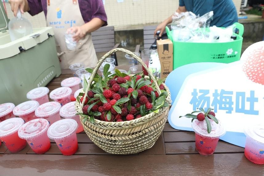 尽享“梅”好时光！从化区良口镇第十八届杨梅节启幕_fororder_180