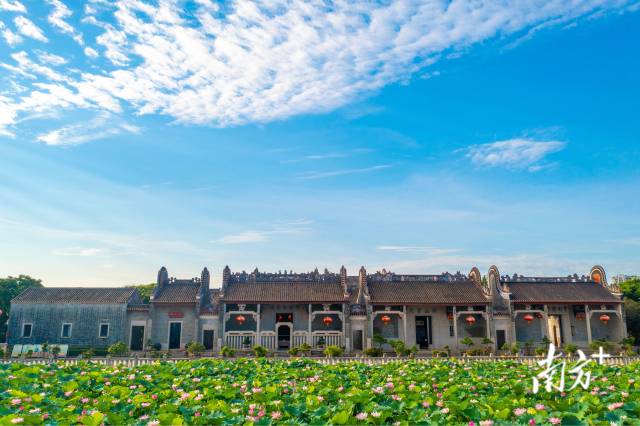 魅力新华：老与新的辩证法