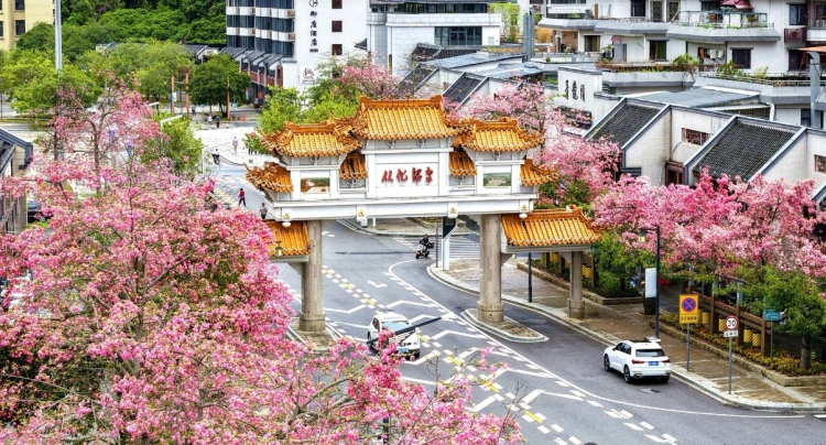 你好，这里是从化！