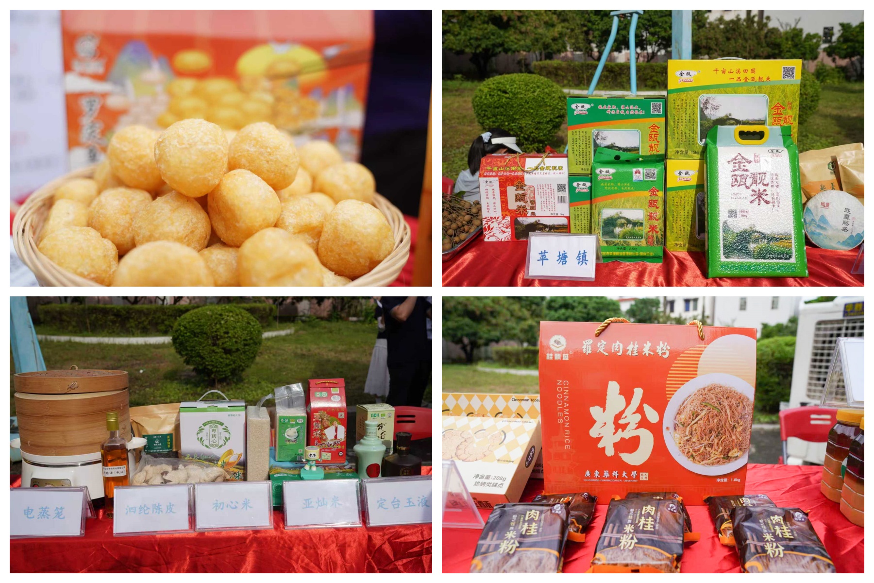 罗定市“媒体+”赋能“百千万工程”助农电商平台启动_fororder_tv5pd6tcnx2hk5id17545548402994908