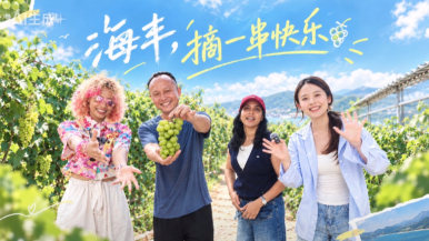 跨越山海赴丰收！中外青年沉浸式打卡汕尾海丰水果丰收季_fororder_ScreenShot_2026-09-29_155510_756