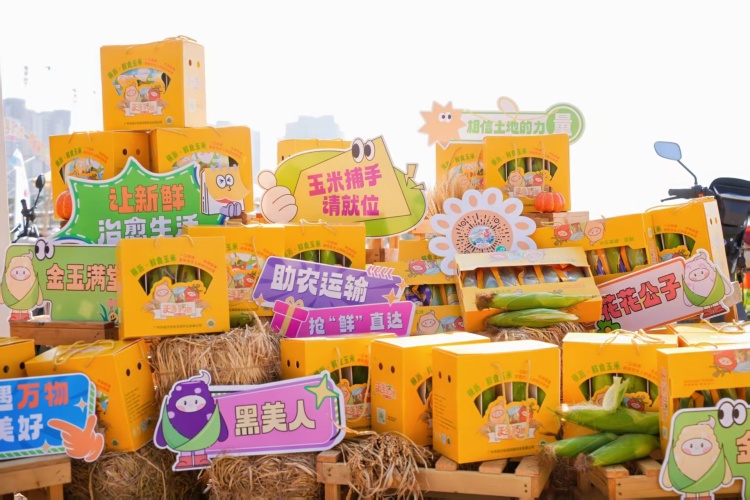 走进金秋丰收集市，南沙鲜食玉米“火”出圈_fororder_微信图片_20251020154616_1500_92