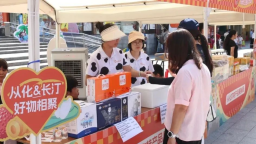 盛夏双城记，美味零距离！长汀&从化农特产品展销周启动