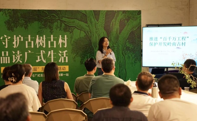 岭南古村焕发新活力：专家共议广式生活与乡村振兴_fororder_24