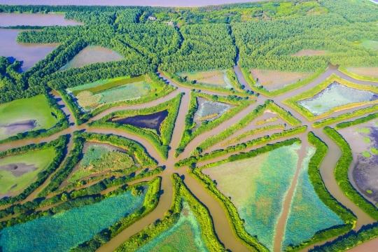 红树林面积全国第一，广东省启动2025年湿地保护宣传周_fororder_54849849_7739888e-c959-49c9-83e5-94b0cc9c91b2_zsize