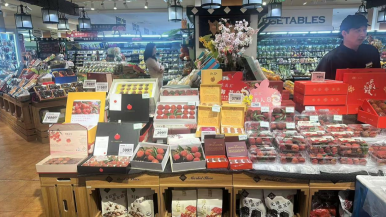广州从化“流溪红”荔枝入驻北京SKP