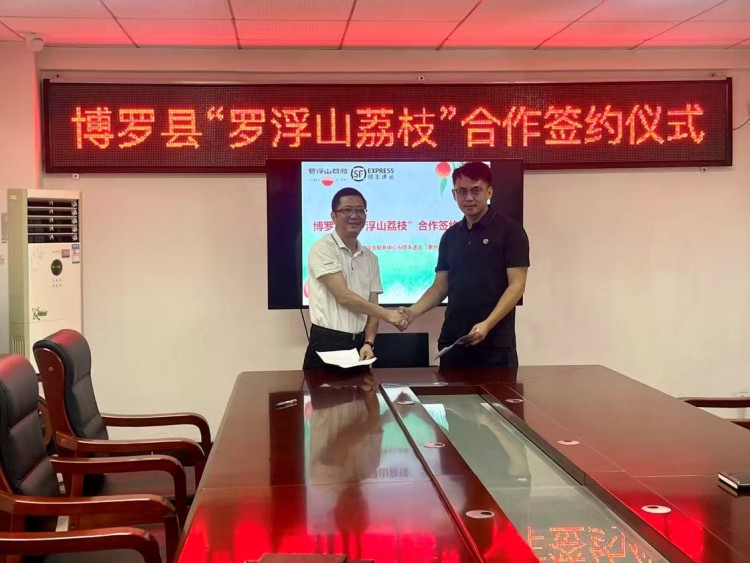 罗浮山荔枝：“良种+冷链”解锁出圈密码_fororder_5