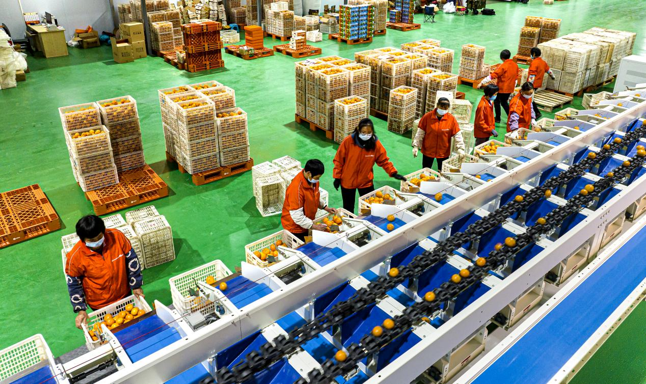 穗北田园展新姿，镜头定格丰收景——2025年中国农民丰收节广州从化全国摄影作品展圆满收官_fororder_图片7